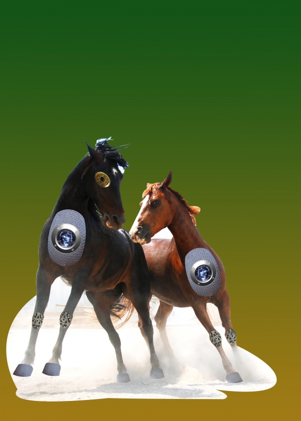 Creation of The Escape of War Horses: Step 11